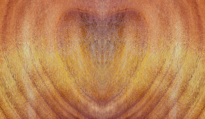 Fondazione di Andrilegno 1950